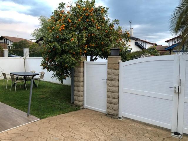 Les Hirondelles 2Km De La Plage-Jardin-Wifi-Parking-Draps Et Serviettes Hendaya Exterior foto